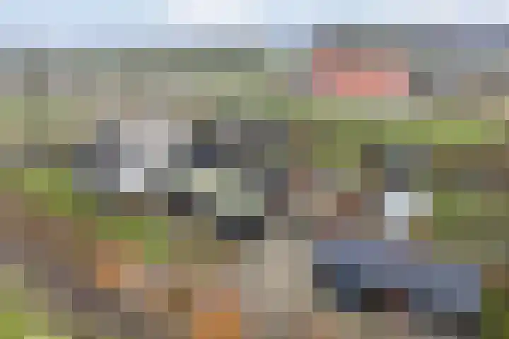 Sponturfwijk 28 Balkbrug thumbnail 37