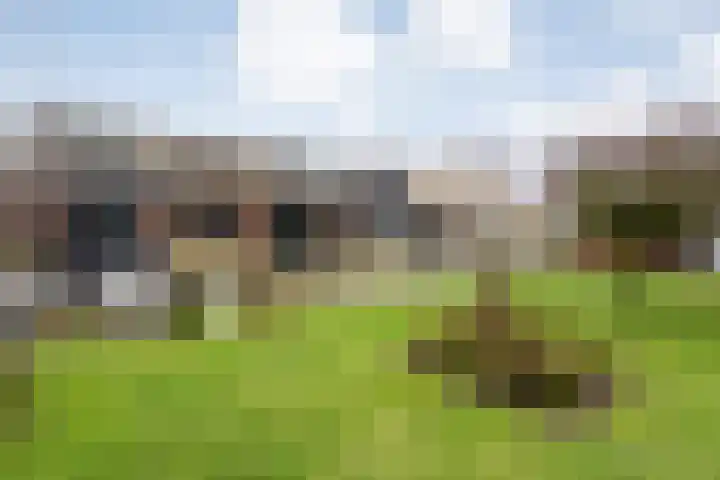 Sponturfwijk 28 Balkbrug thumbnail 41