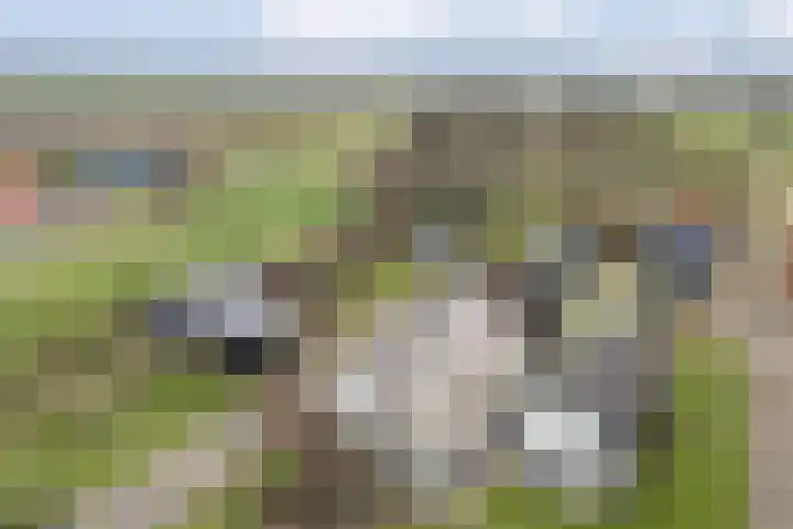 Sponturfwijk 28 Balkbrug thumbnail 54