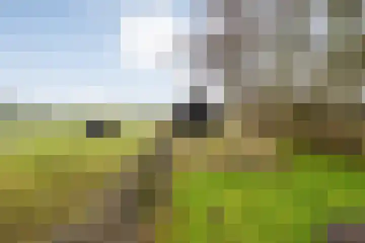 Sponturfwijk 28 Balkbrug thumbnail 63