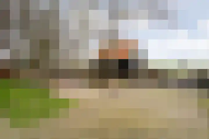 Sponturfwijk 28 Balkbrug thumbnail 64