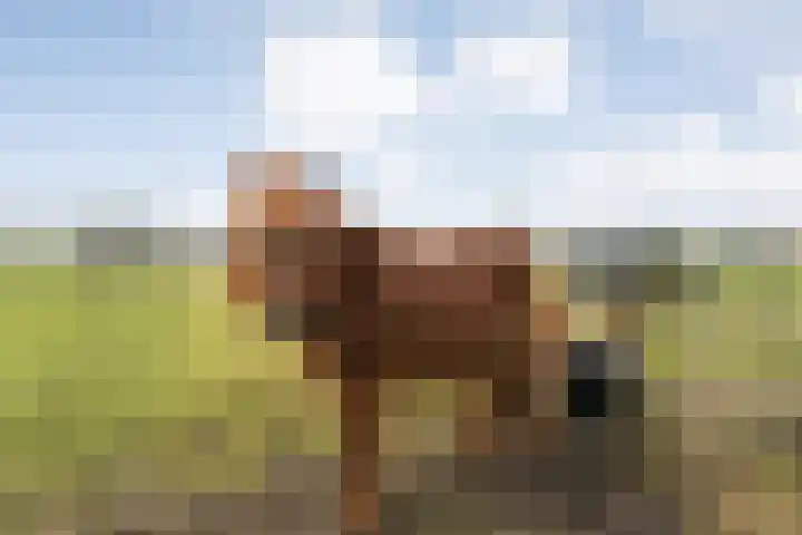 Sponturfwijk 28 Balkbrug thumbnail 67
