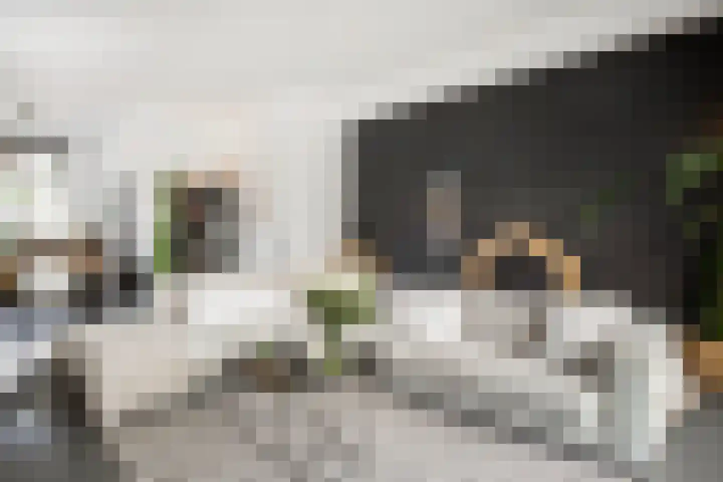 Sponzenstraat 2 Ede thumbnail 12