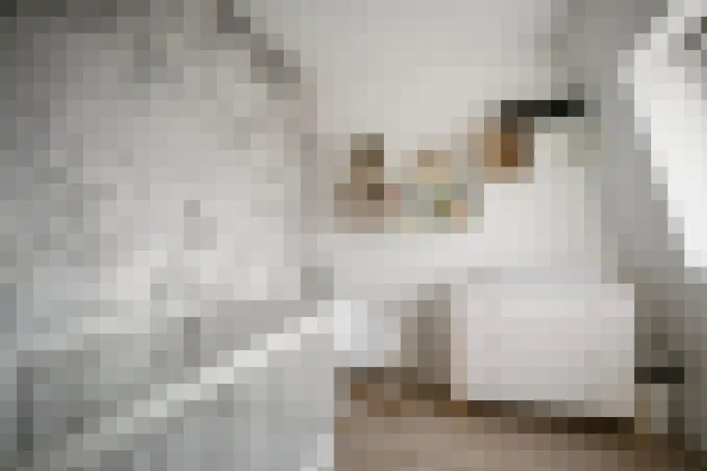 Sponzenstraat 2 Ede thumbnail 45