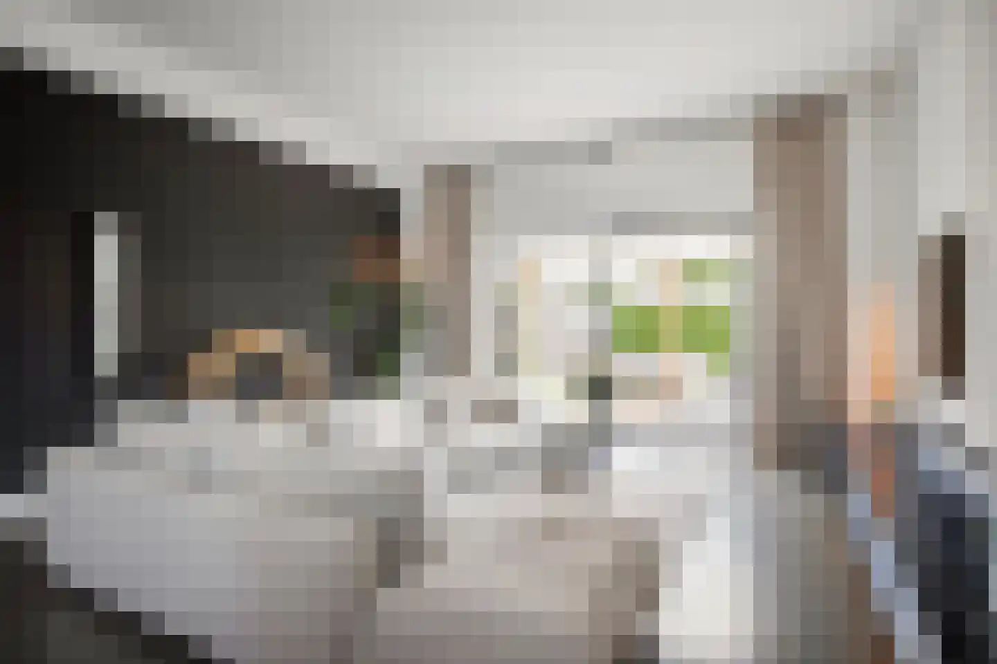 Sponzenstraat 2 Ede thumbnail 8