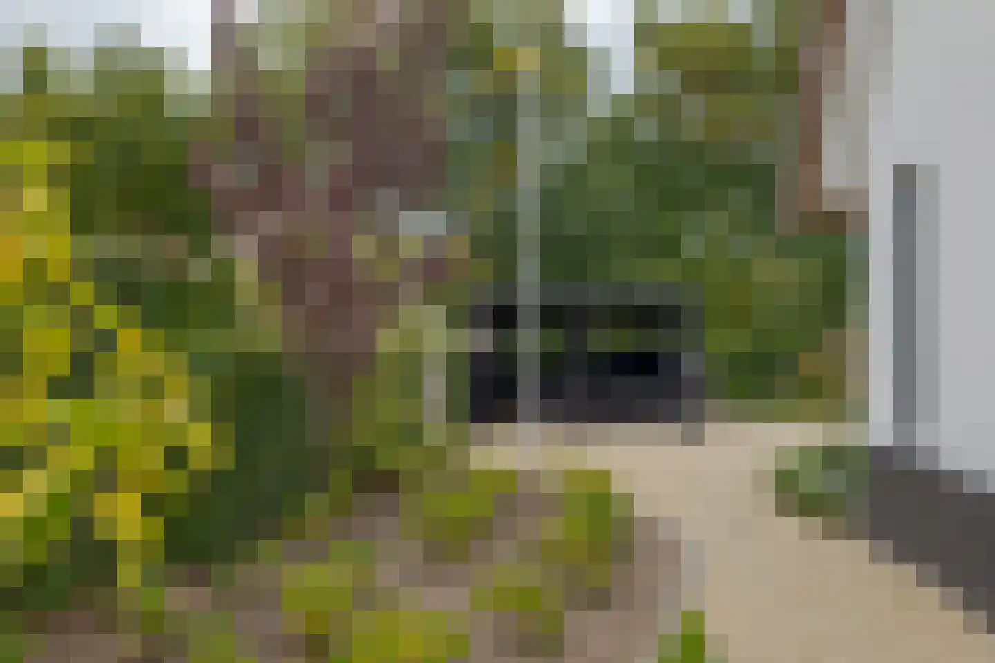Spoolderbergweg 13 Zwolle thumbnail 8