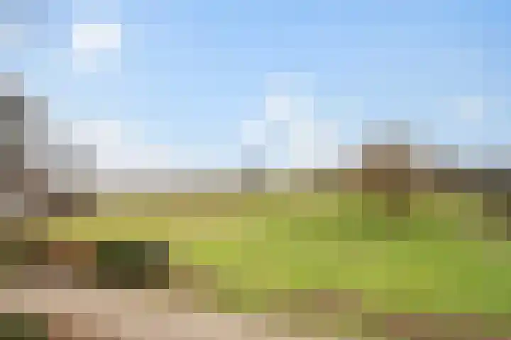 Spoolderbergweg 25 Zwolle thumbnail 25