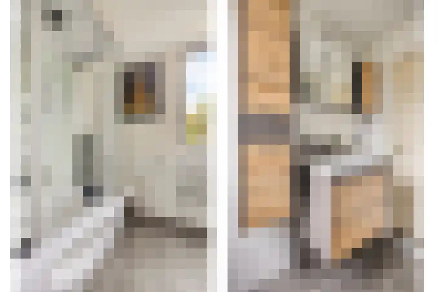 Spoolderlanden 3 Enschede thumbnail 14