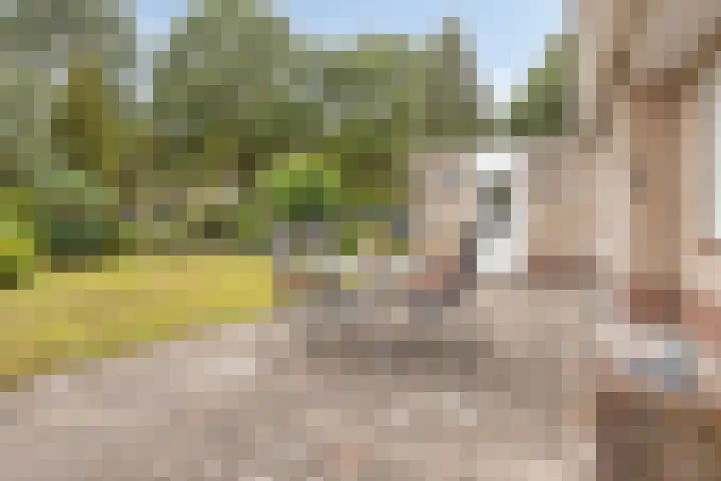 Spoorbaan 1 Goirle thumbnail 30