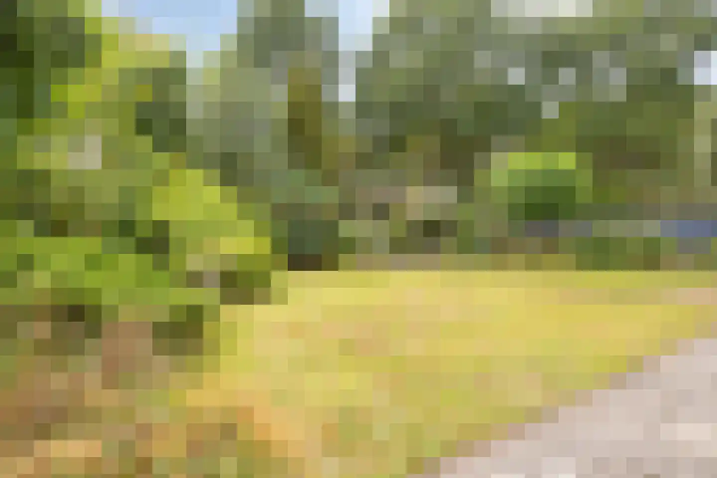Spoorbaan 1 Goirle thumbnail 4