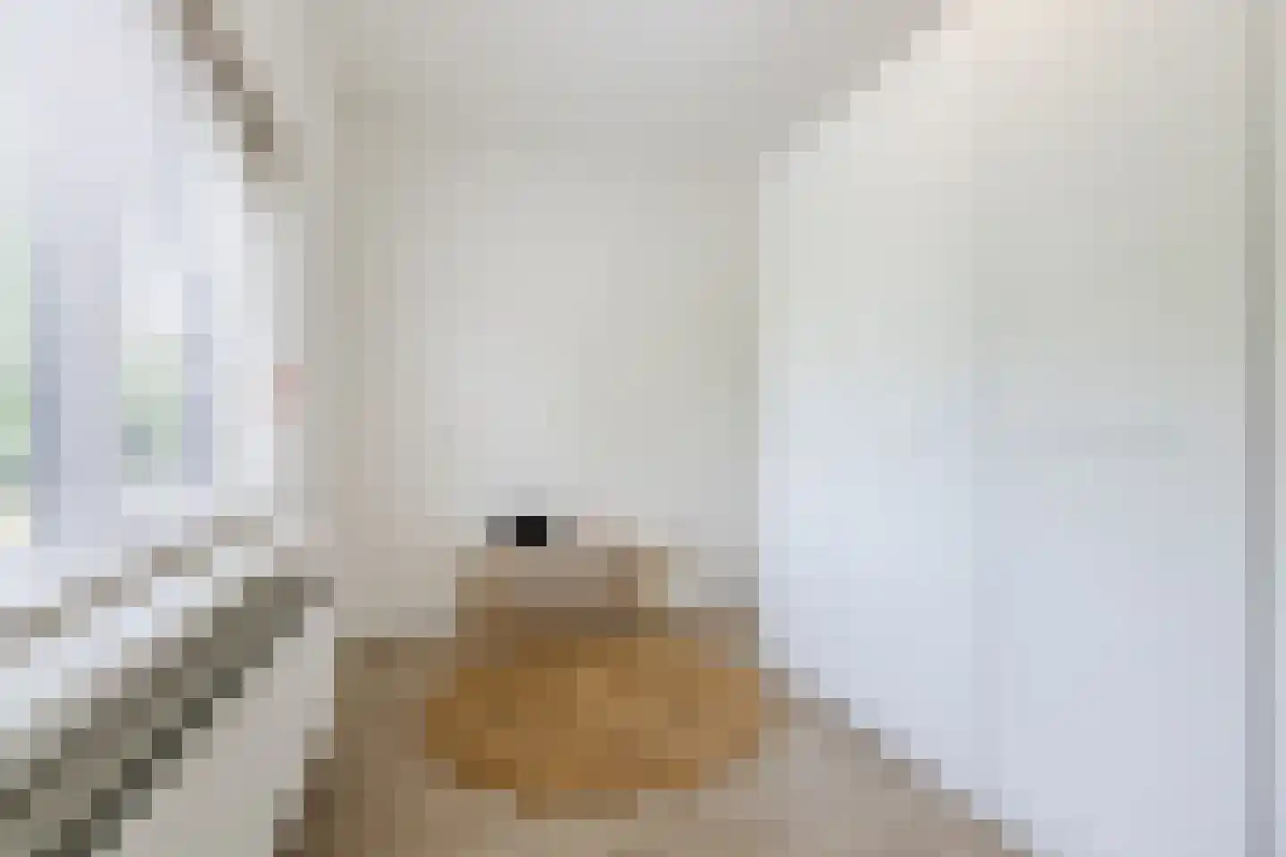 Spoorbaan 12 Goirle thumbnail 20