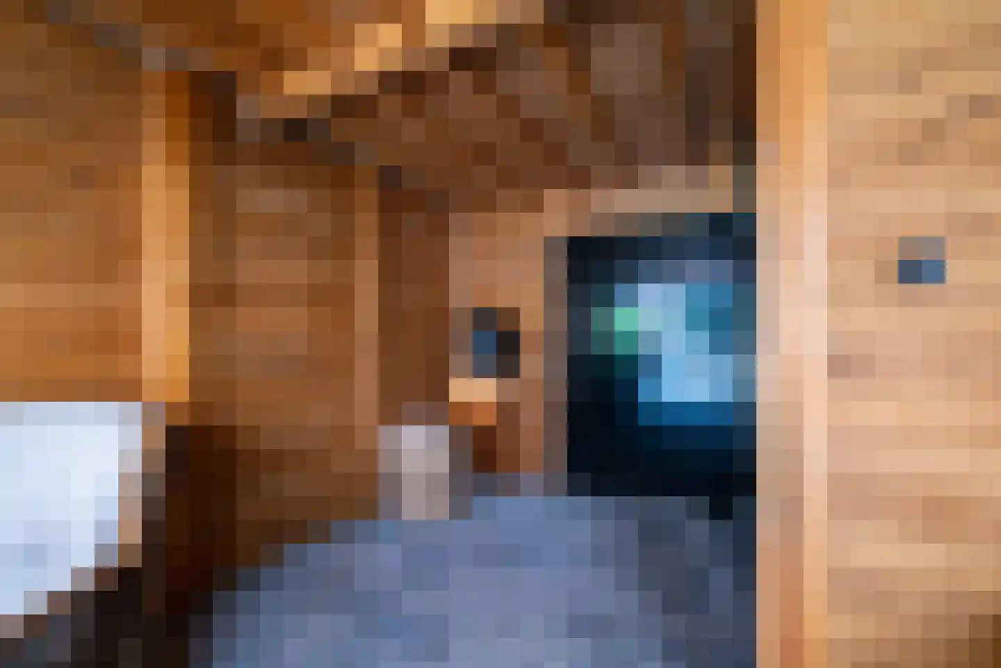 Spoorbaan 155 Hellevoetsluis thumbnail 17