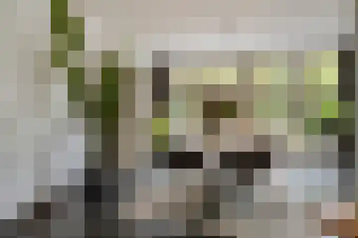 Spoorbaan 21 Goirle thumbnail 12