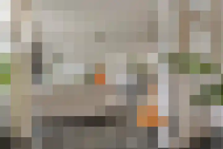 Spoorbaan 21 Goirle thumbnail 16