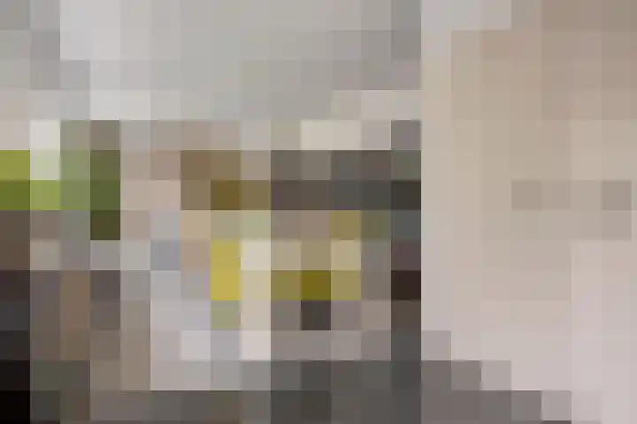 Spoorbaan 21 Goirle thumbnail 18