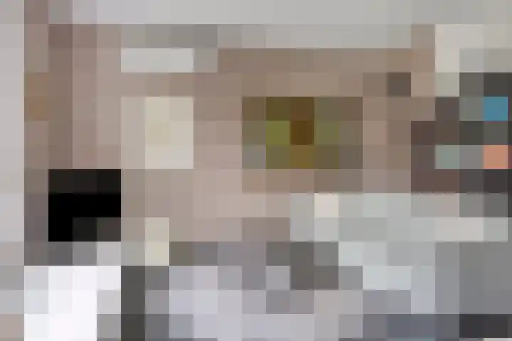 Spoorbaan 21 Goirle thumbnail 19