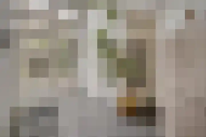 Spoorbaan 21 Goirle thumbnail 21