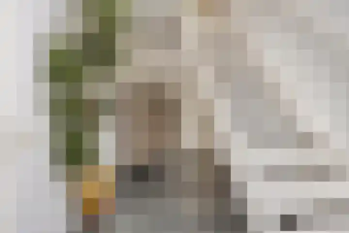 Spoorbaan 21 Goirle thumbnail 22