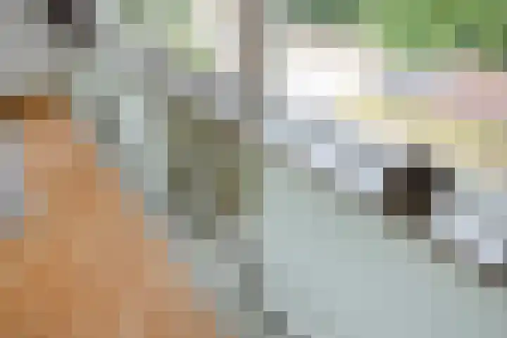 Spoorbaan 21 Goirle thumbnail 30