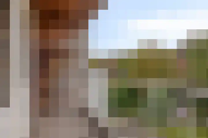 Spoorbaan 21 Goirle thumbnail 35