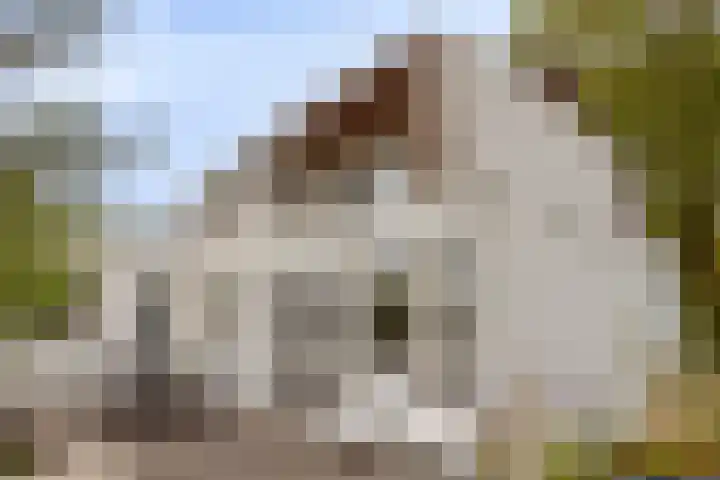 Spoorbaan 21 Goirle thumbnail 41
