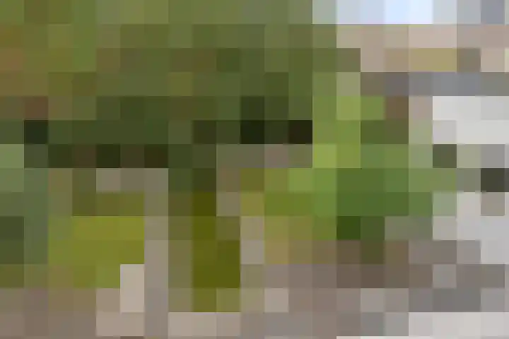 Spoorbaan 21 Goirle thumbnail 43