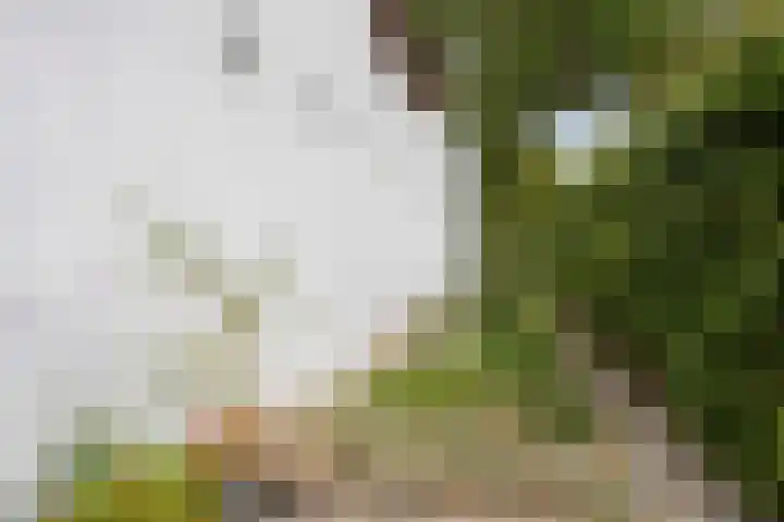 Spoorbaan 21 Goirle thumbnail 44