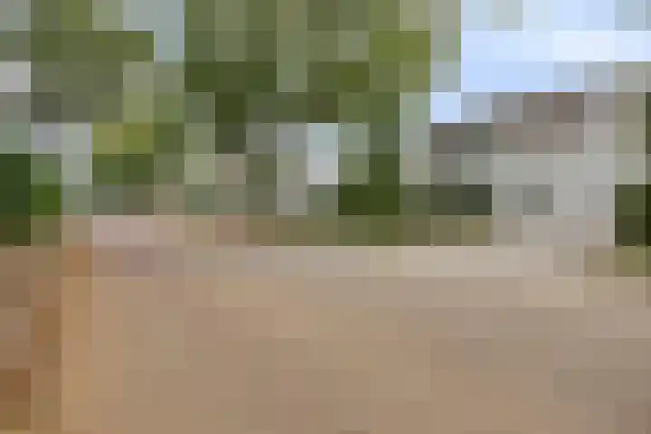 Spoorbaan 21 Goirle thumbnail 46