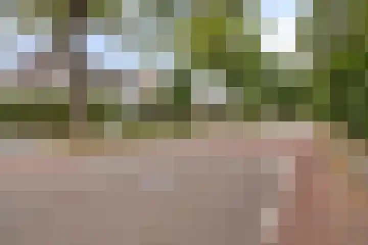 Spoorbaan 21 Goirle thumbnail 47