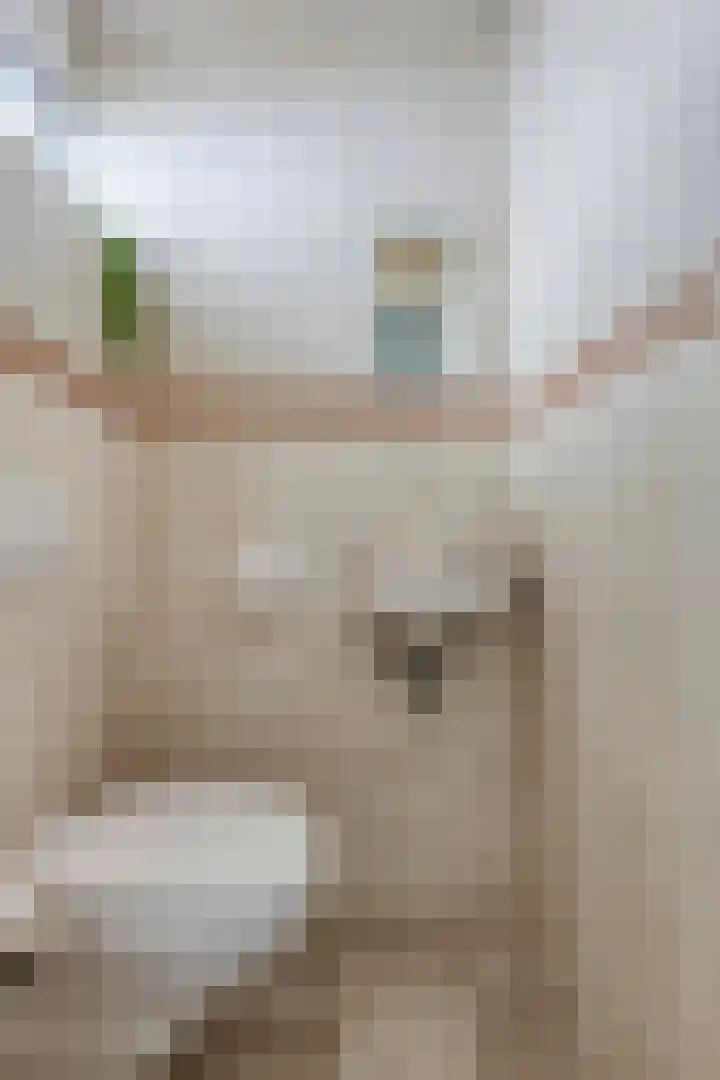 Spoorbaan 66 Goirle thumbnail 6