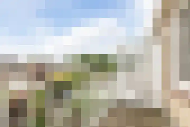 Spoorbaan 70 Goirle thumbnail 39