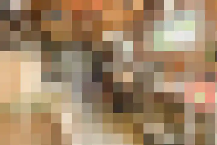 Spoorbaan 70 Goirle thumbnail 49