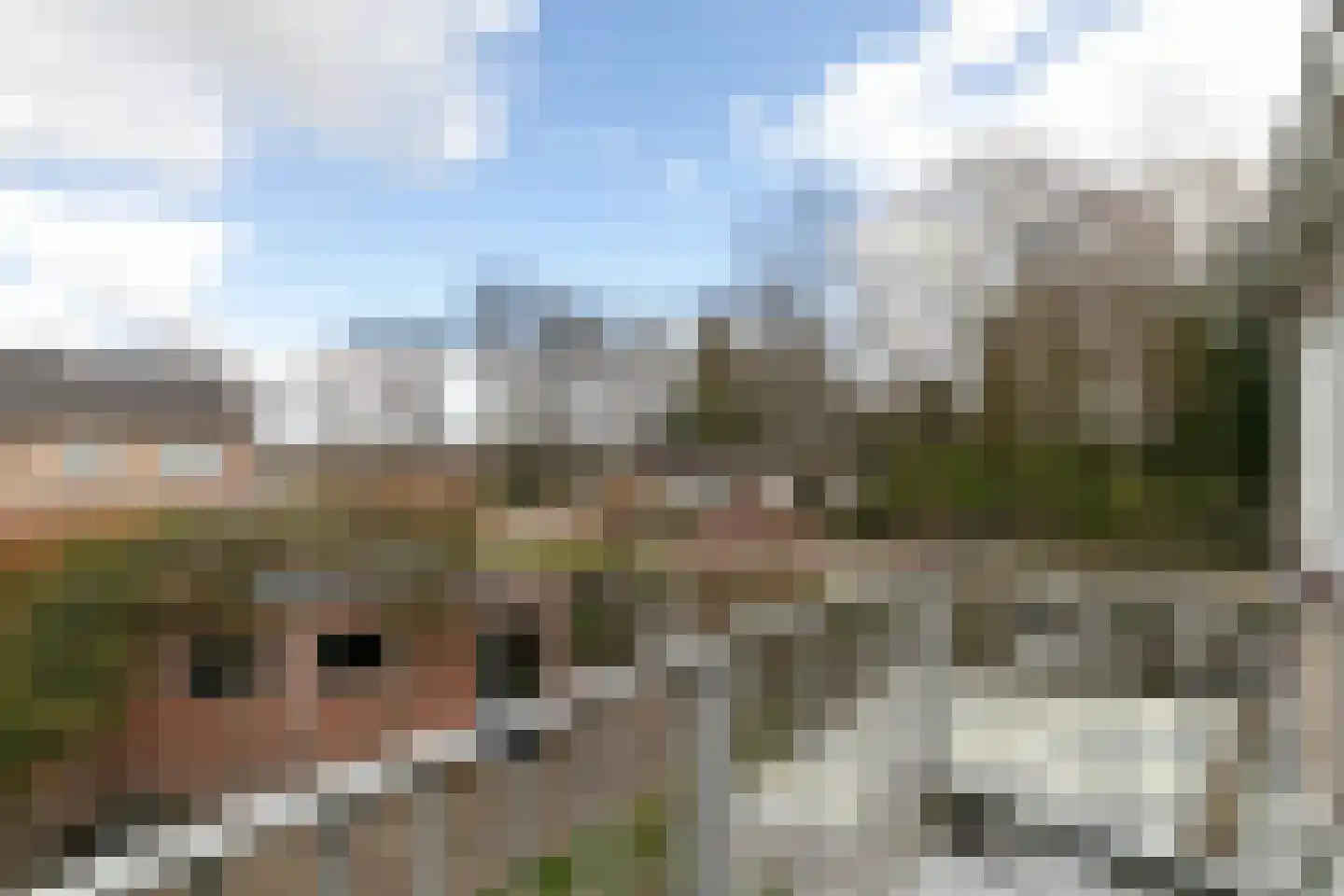 Spoorbaan 84 Goirle thumbnail 33