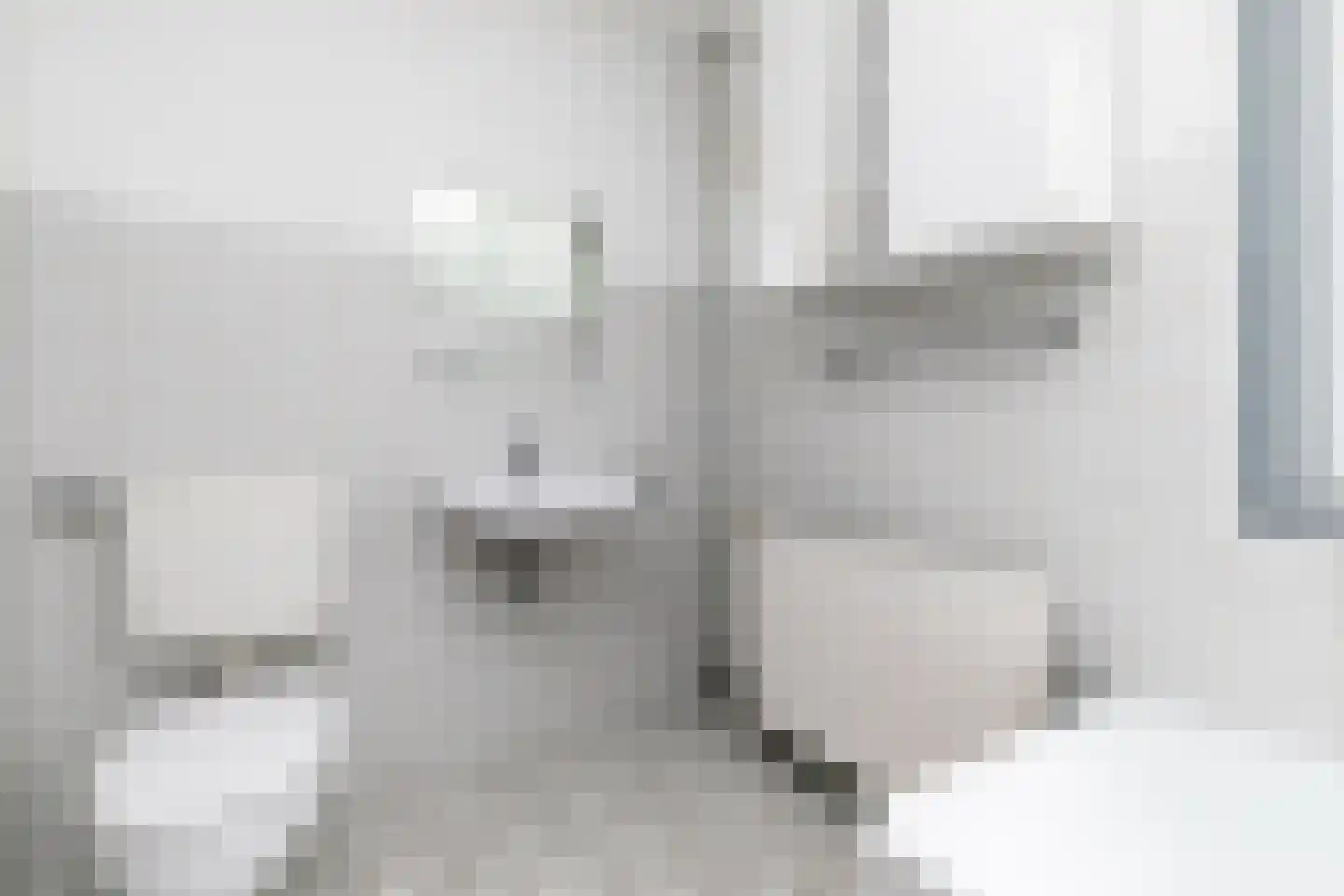 Spoorbaan 84 Goirle thumbnail 42