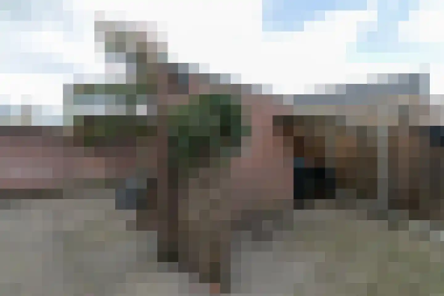 Spoorbaan 84 Goirle thumbnail 54