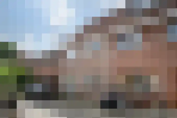 Spoorbaanstraat 10 Schiedam thumbnail 30