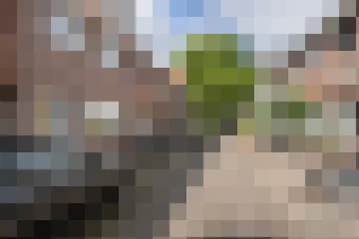 Spoorbaanstraat 10 Schiedam thumbnail 31