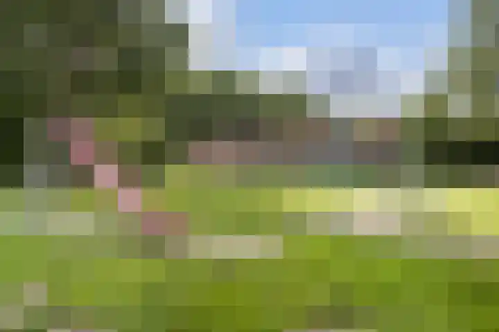 Spoorbaanstraat 10 Schiedam thumbnail 33