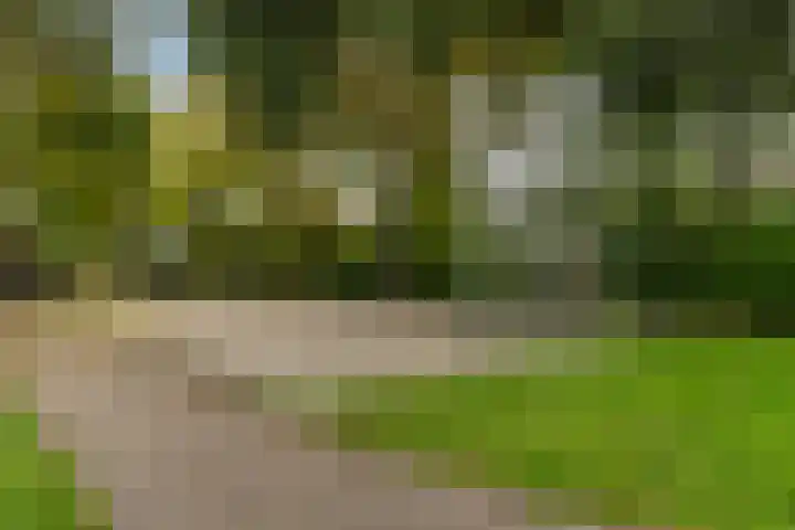 Spoorbaanstraat 26 Schiedam thumbnail 26