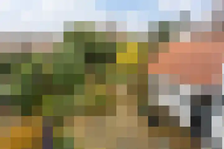 Spoorbaanweg 29 Rhenen thumbnail 25