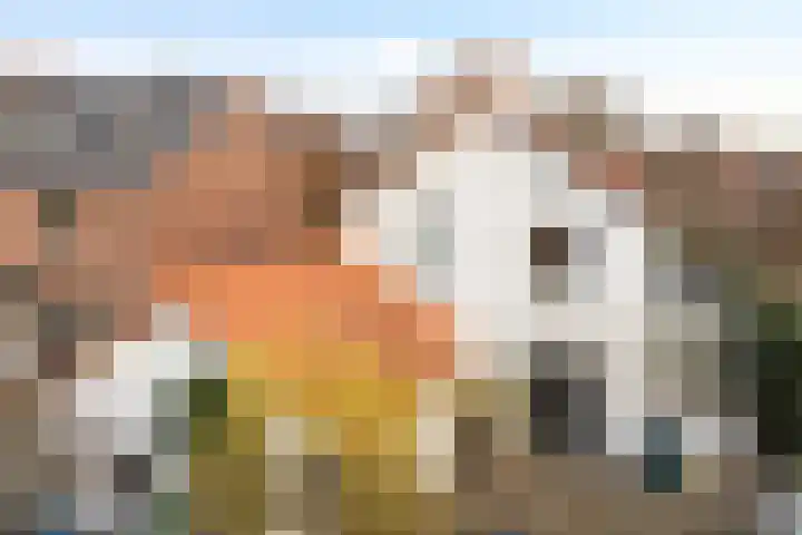 Spoorbaanweg 29 Rhenen thumbnail 27