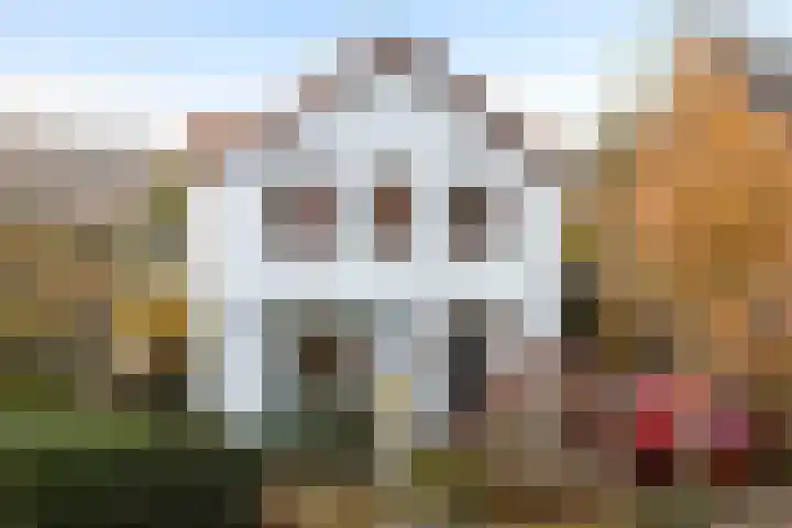 Spoorbaanweg 29 Rhenen thumbnail 28