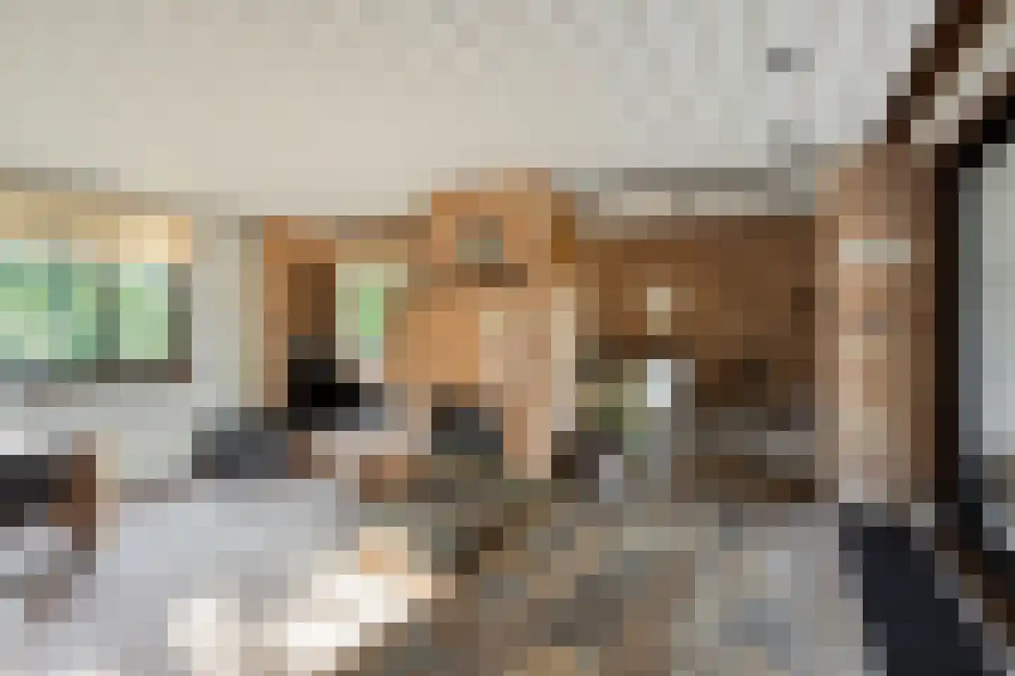 Spoorbaanweg 35 Rhenen thumbnail 10