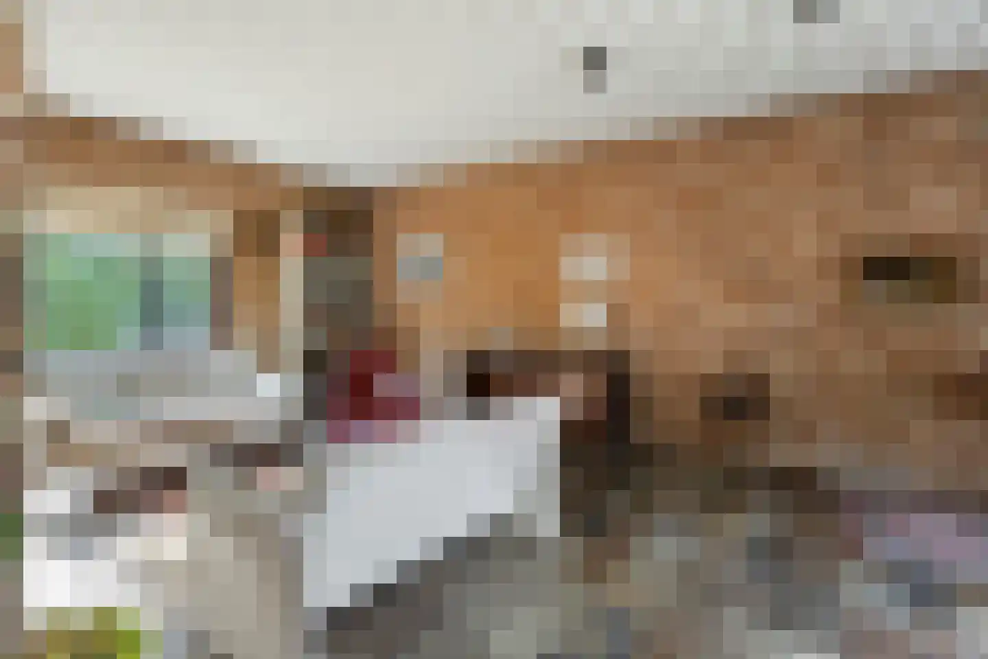 Spoorbaanweg 35 Rhenen thumbnail 14