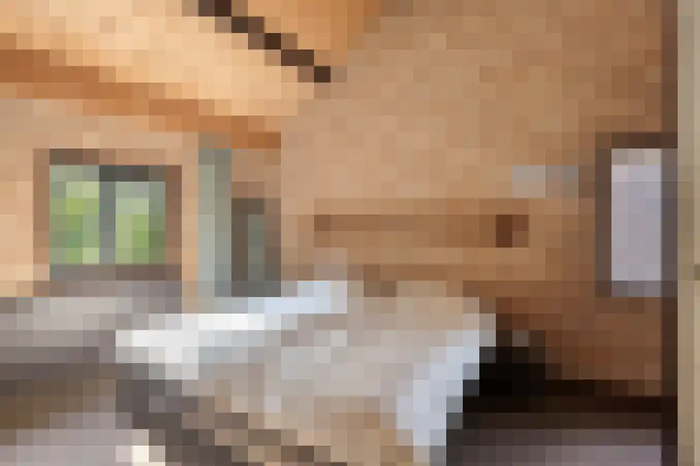Spoorbaanweg 35 Rhenen thumbnail 33