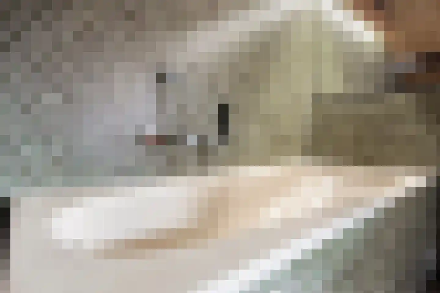Spoorbaanweg 35 Rhenen thumbnail 37