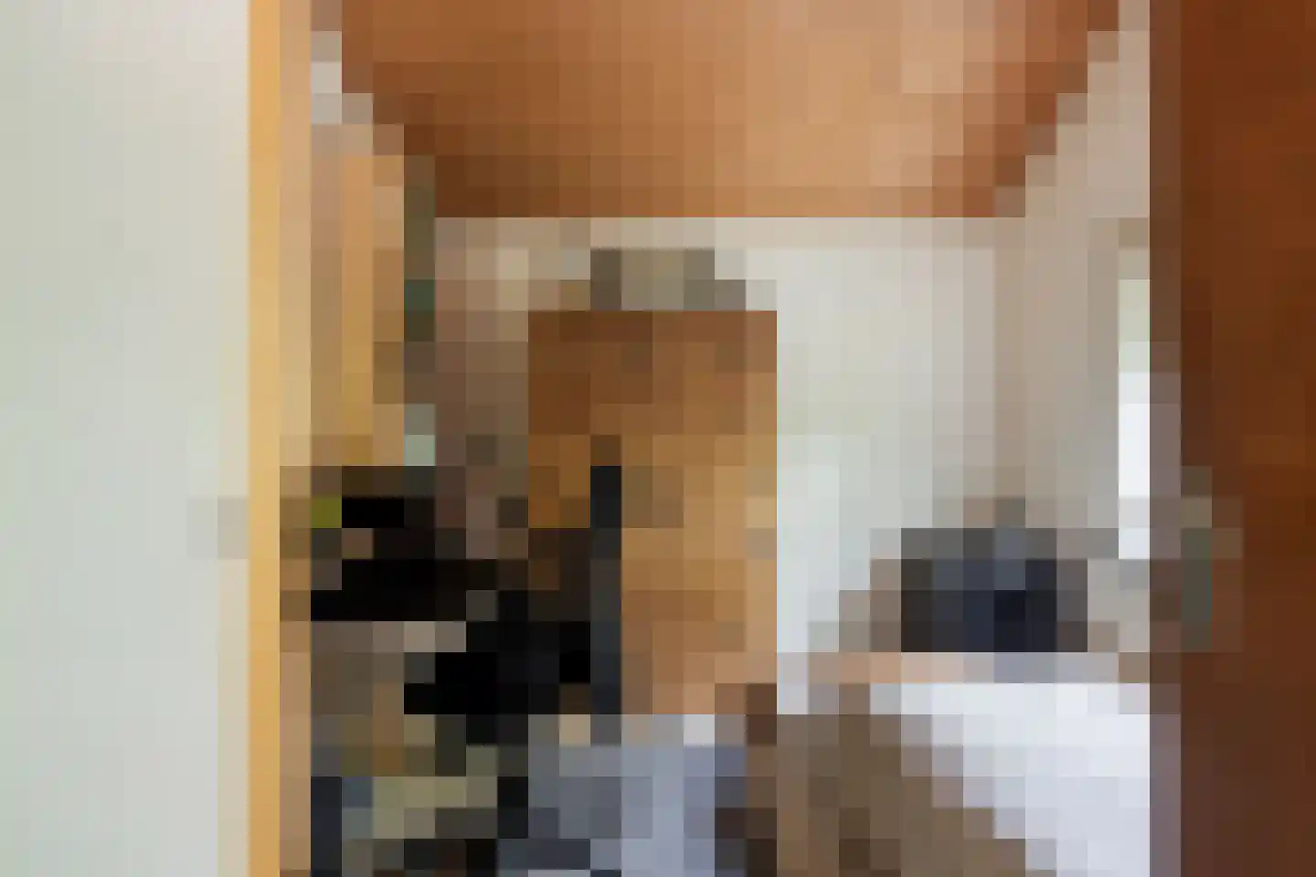 Spoorbaanweg 35 Rhenen thumbnail 38