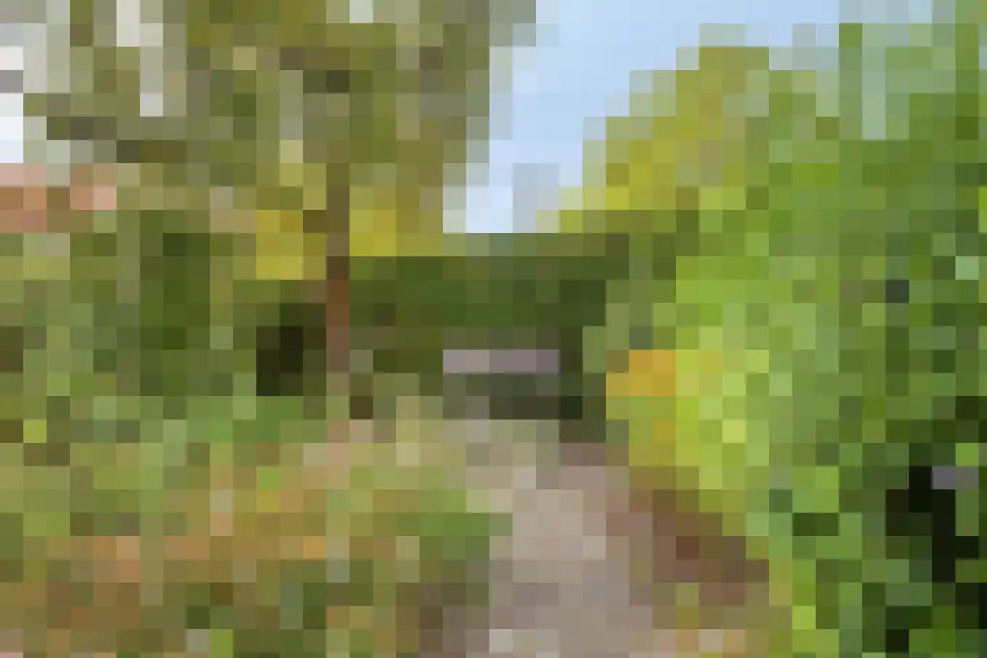 Spoorbaanweg 35 Rhenen thumbnail 52