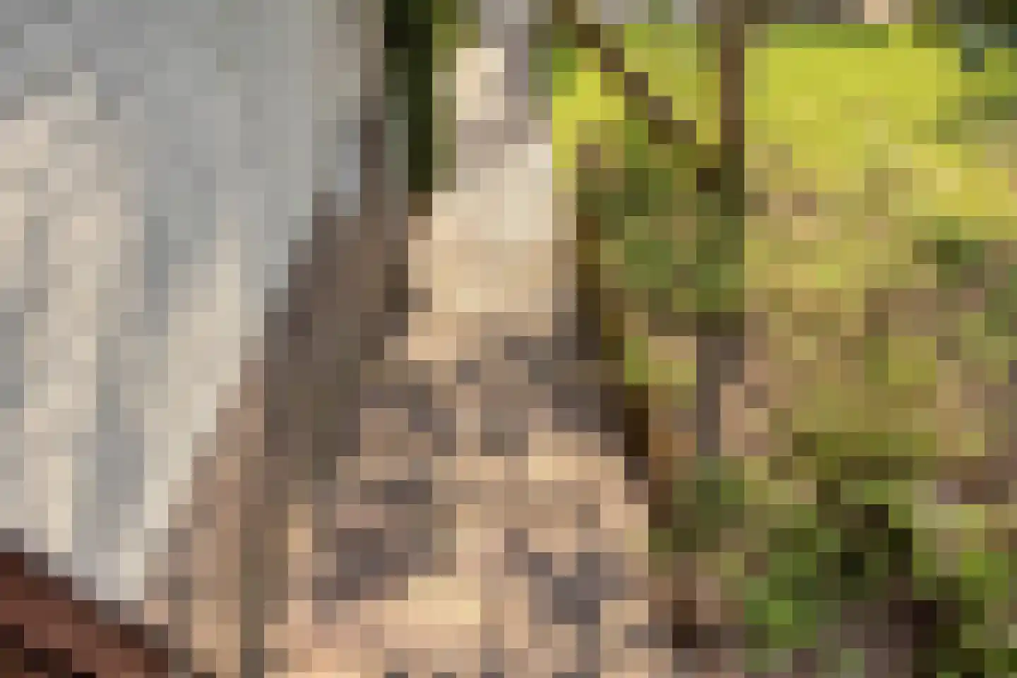 Spoorbaanweg 35 Rhenen thumbnail 53