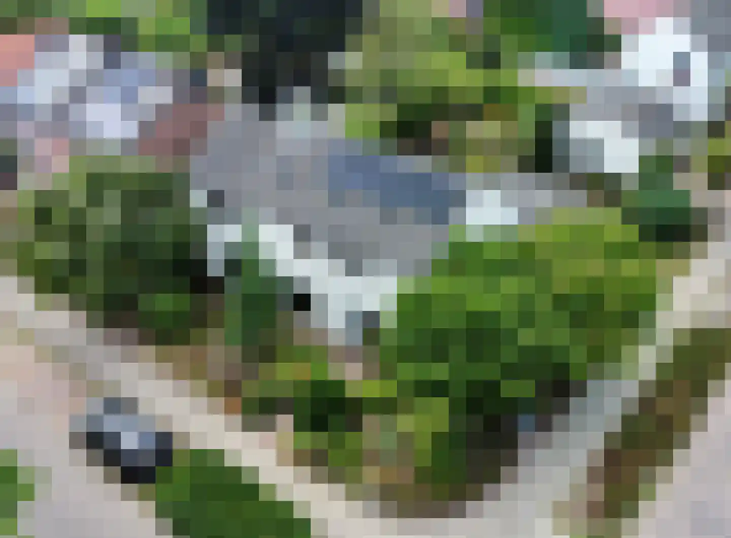 Spoorbaanweg 35 Rhenen thumbnail 57